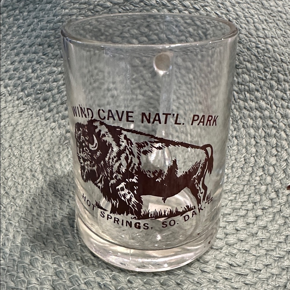 Wind Cave National Park Hot Springs South Dakota souvenir glass beer mug